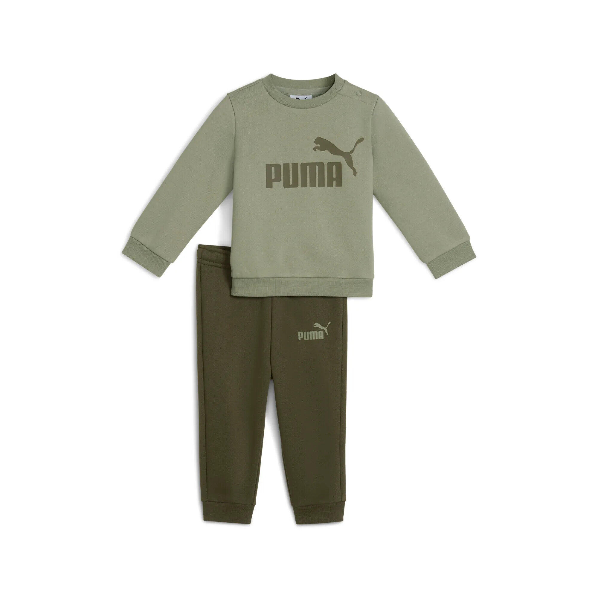 PUMA picture