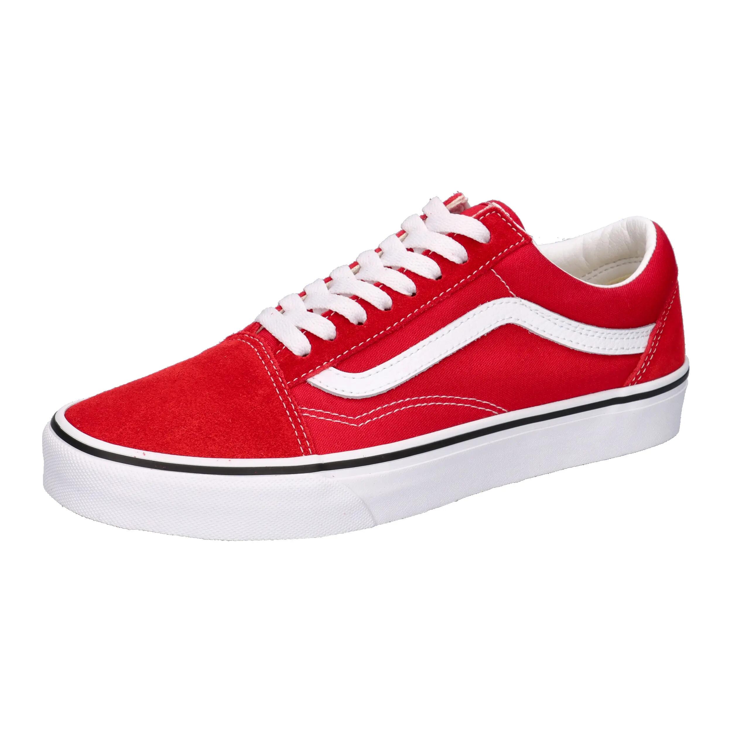 VANS picture