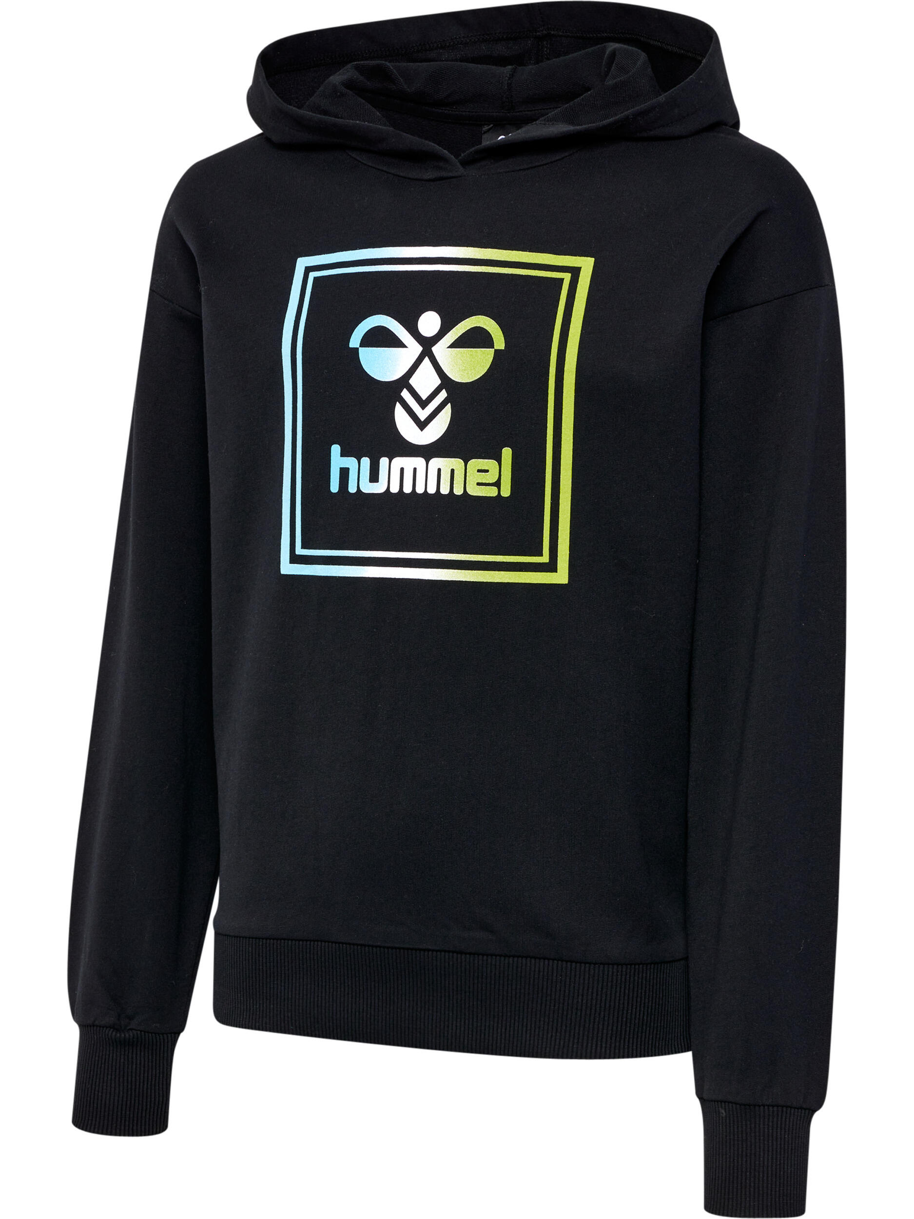 Kapuzenpullover Hmlleiden Mädchen 4/5