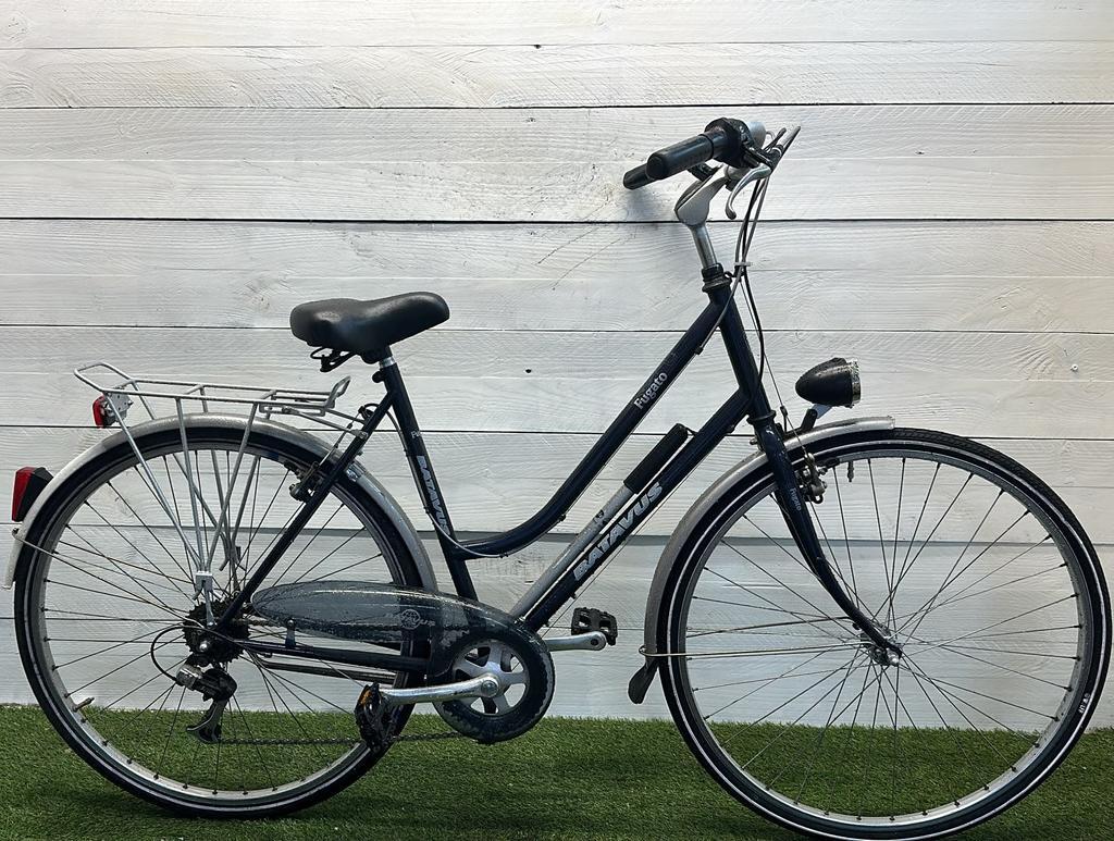 BATAVUS picture