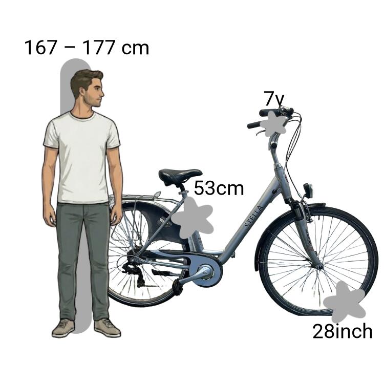 Bicicleta usada Stella Albatros 2/4