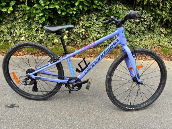 CANNONDALE picture