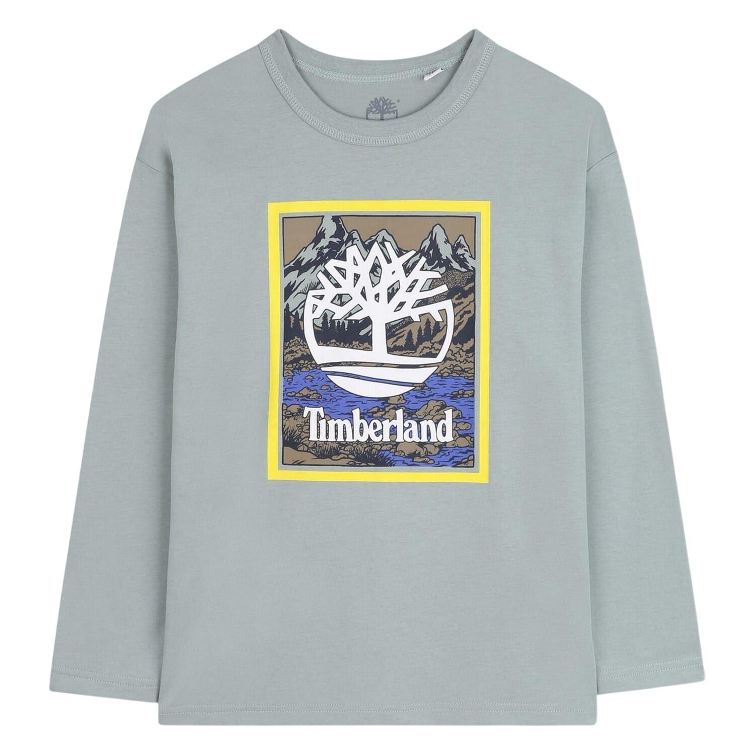 Timberland Boys Mountain Logo T-Shirt