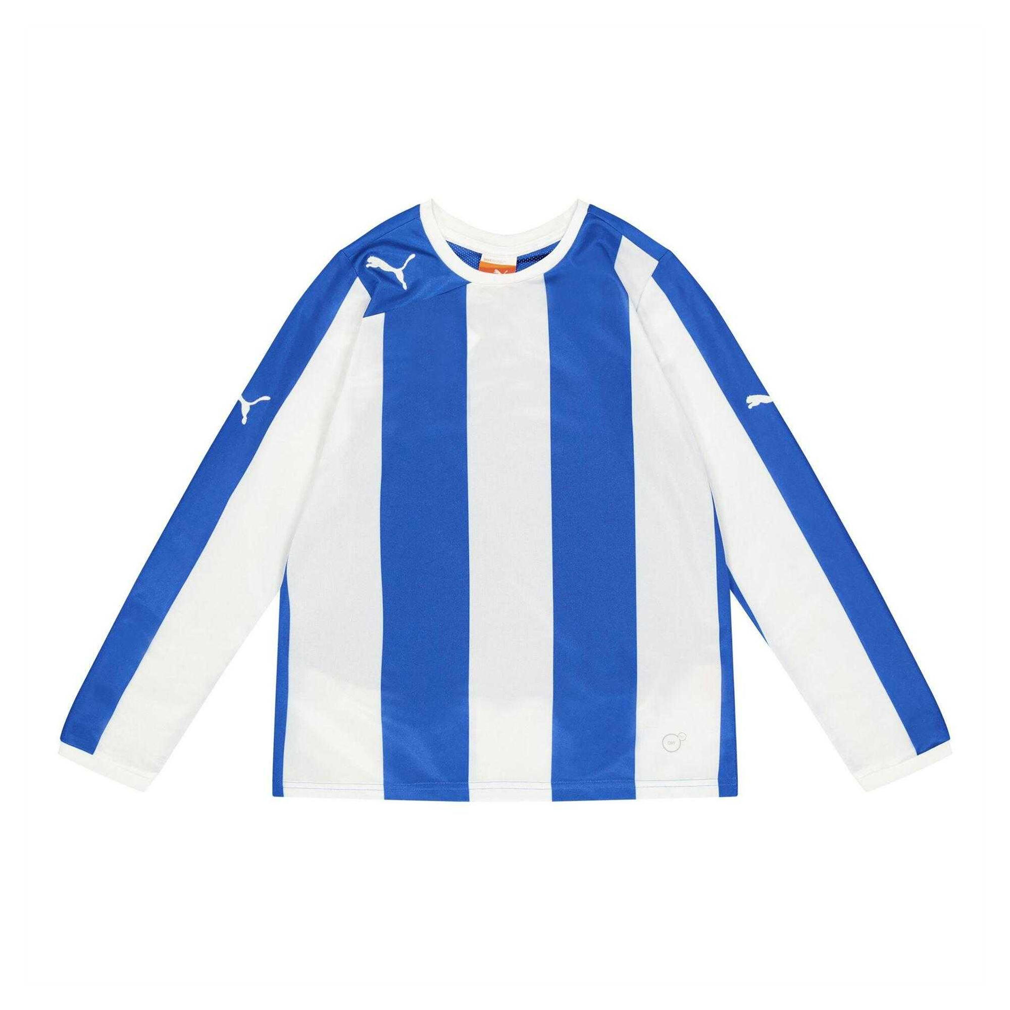 Puma Childrens/Kids Long-Sleeved Training Jersey