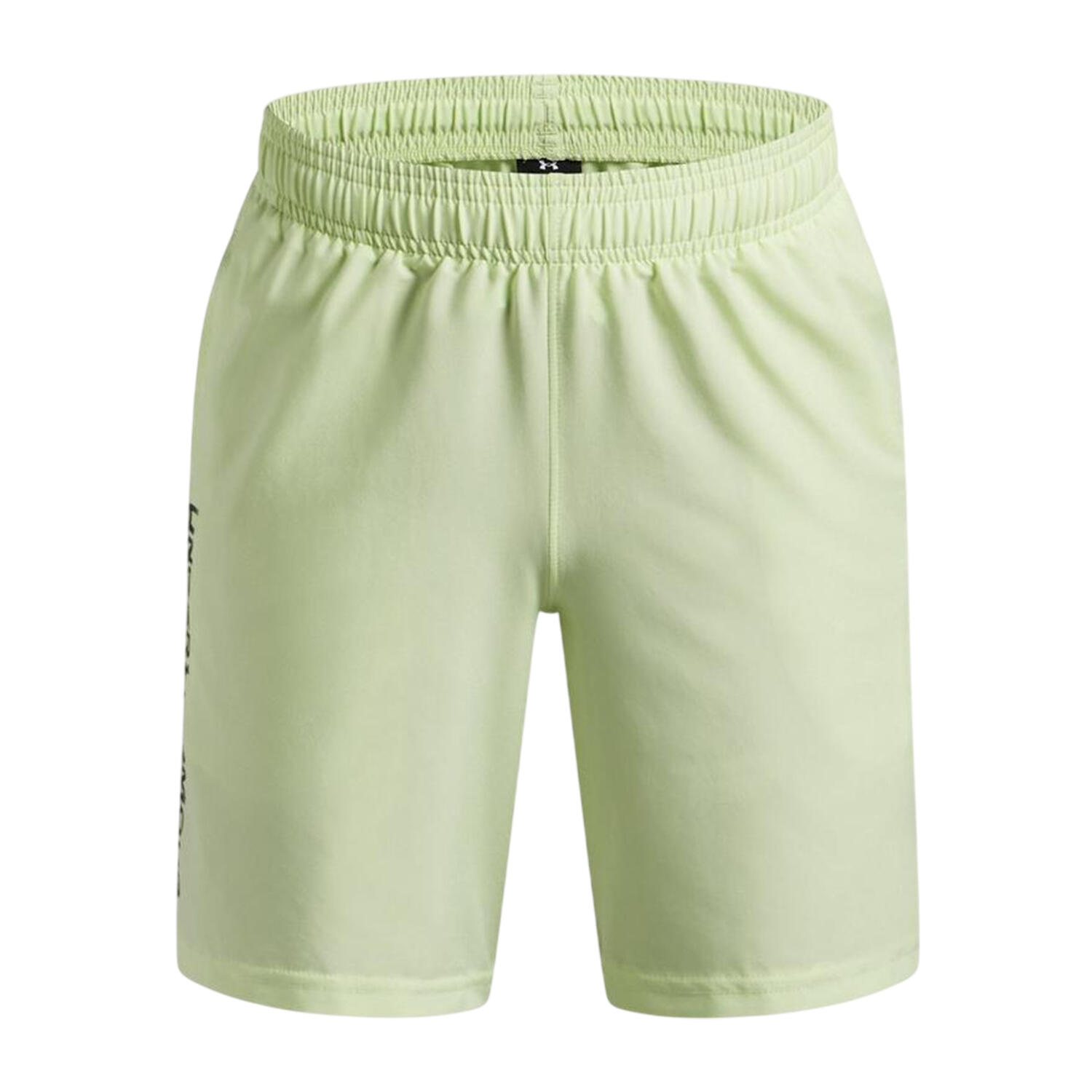 Under Armour Boys Tech Woven Wordmark Shorts