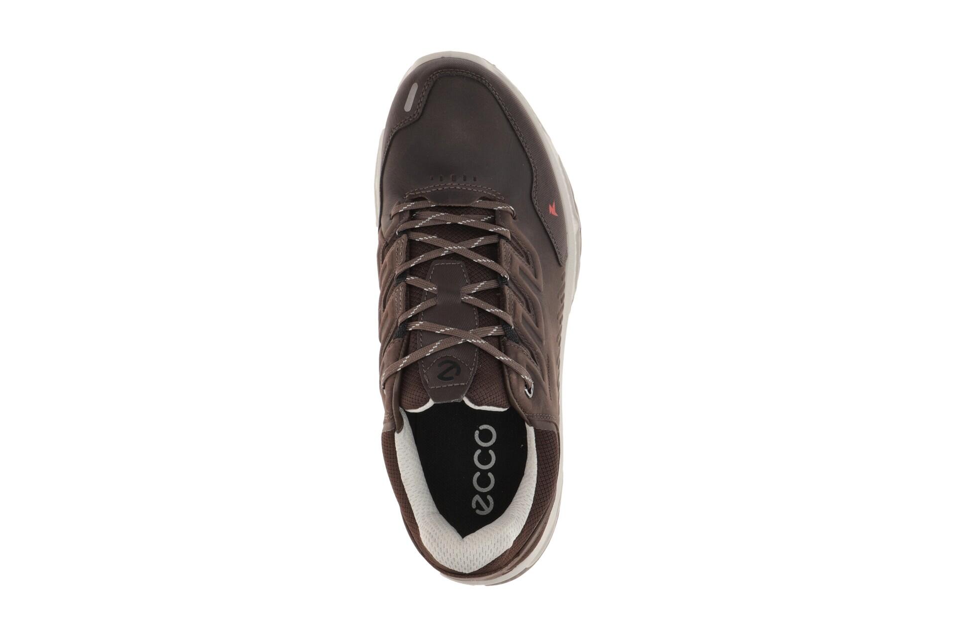 Ecco Receptor Schuhe braun mocha Herren Waterproof 854314 6/7