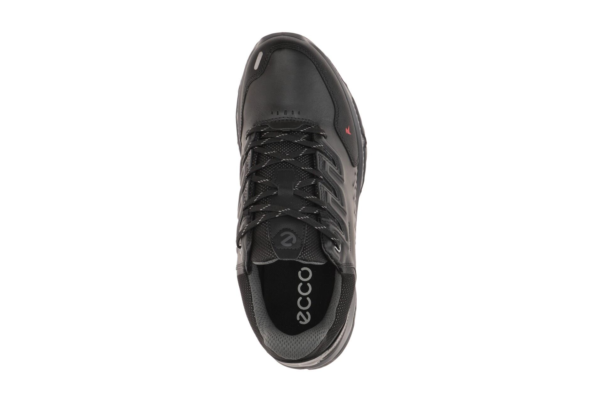 Baskets Ecco Receptor XP 6/7