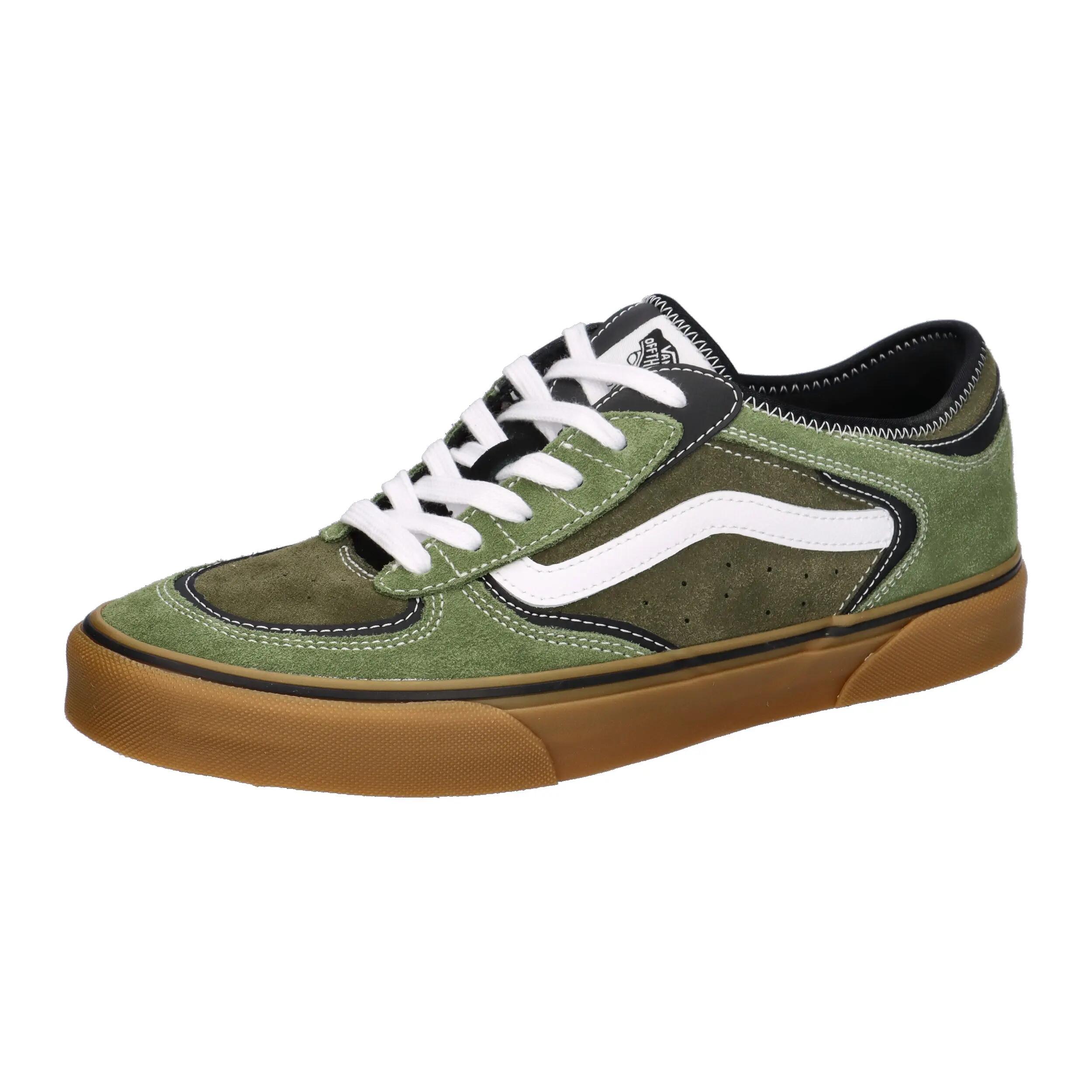 VANS picture