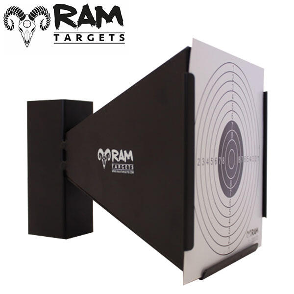 RAM picture