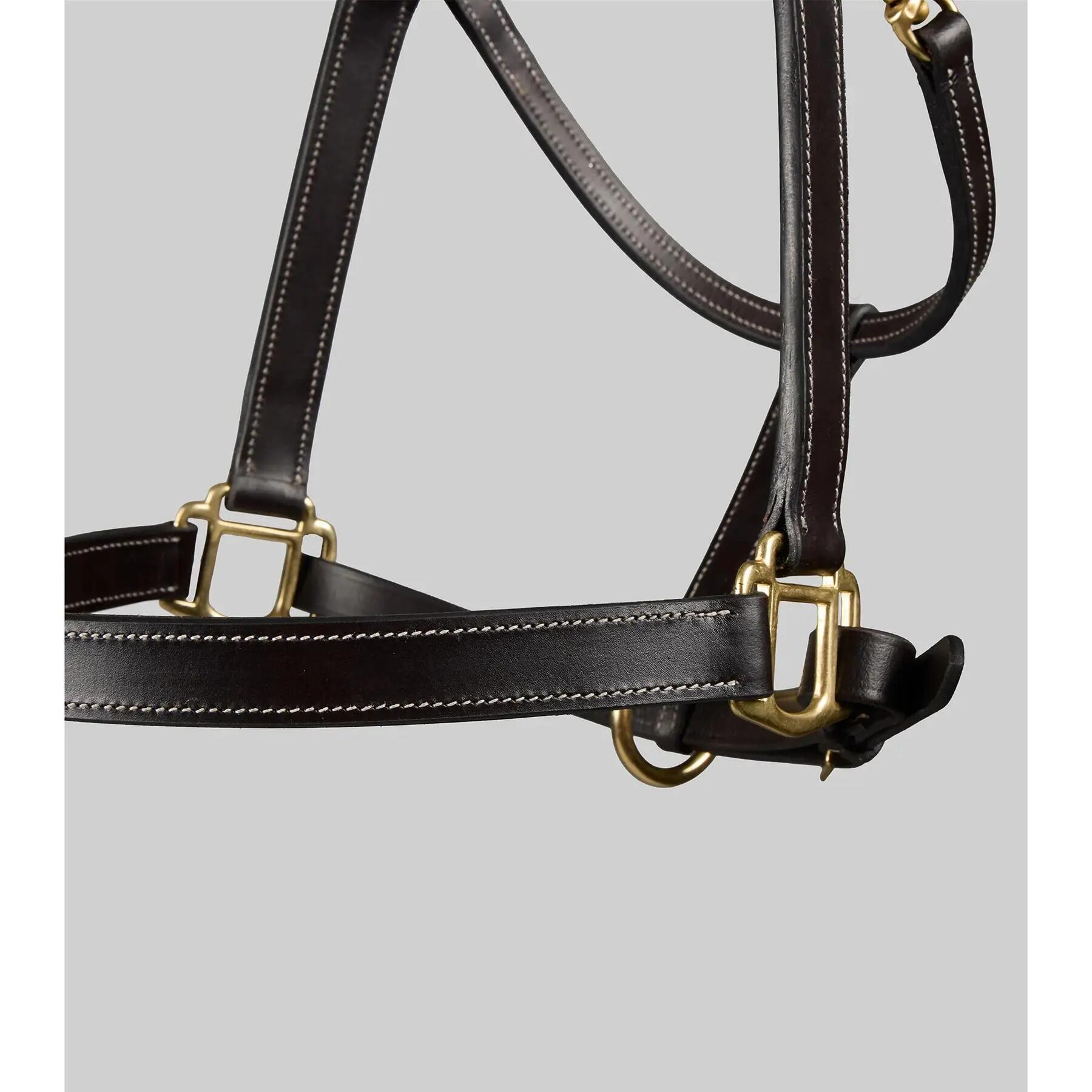 Licol pour cheval Premier Equine 3/5