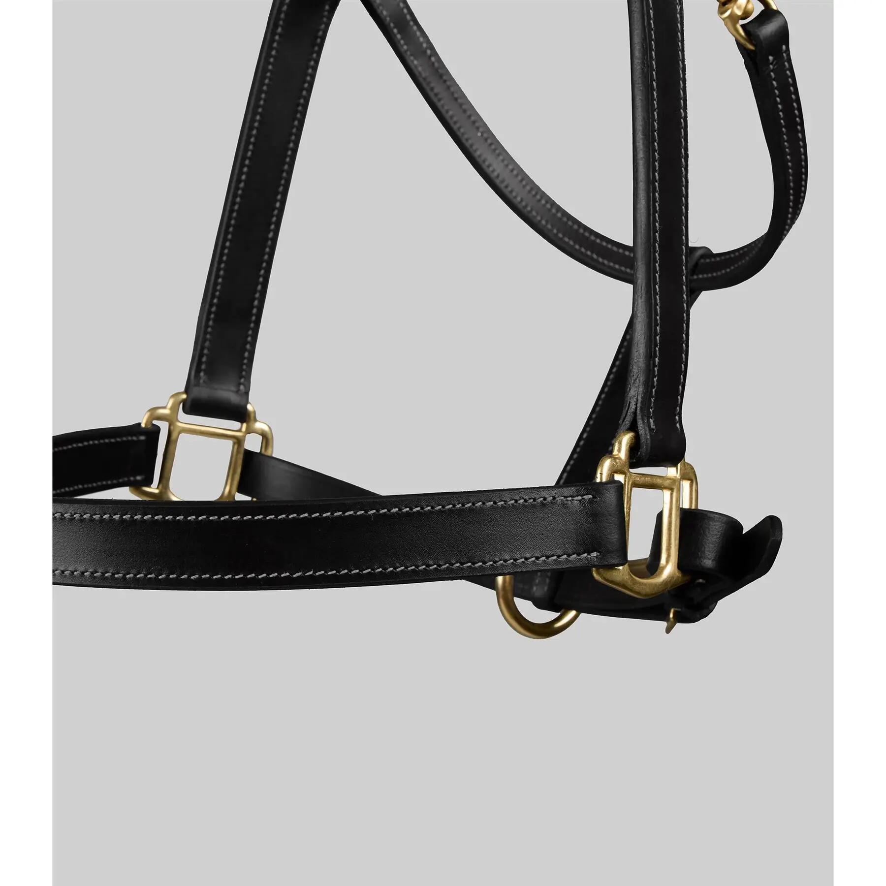Licol pour cheval Premier Equine 3/5