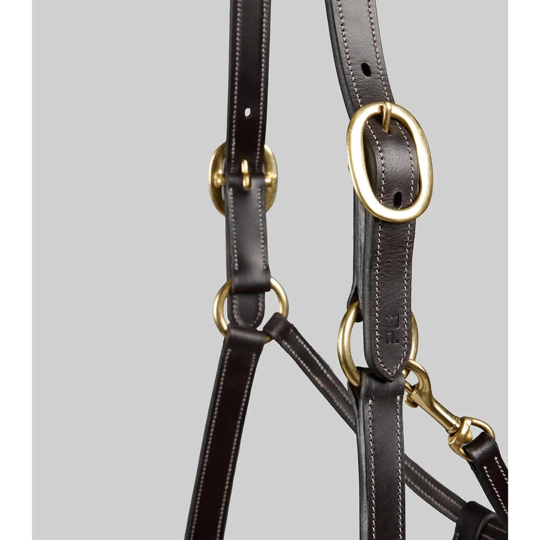 Licol pour cheval Premier Equine 2/5