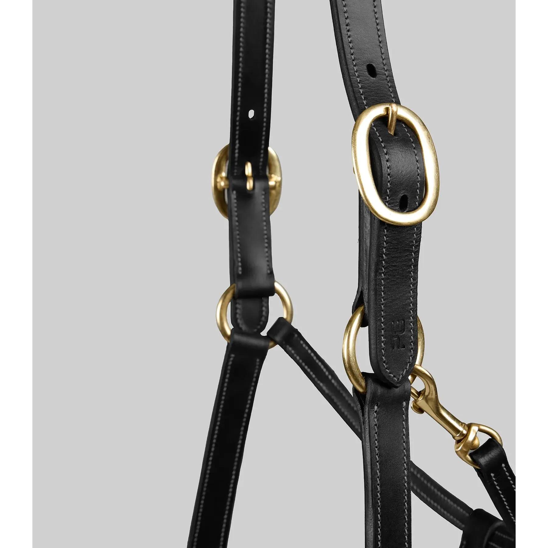 Licol pour cheval Premier Equine 2/5