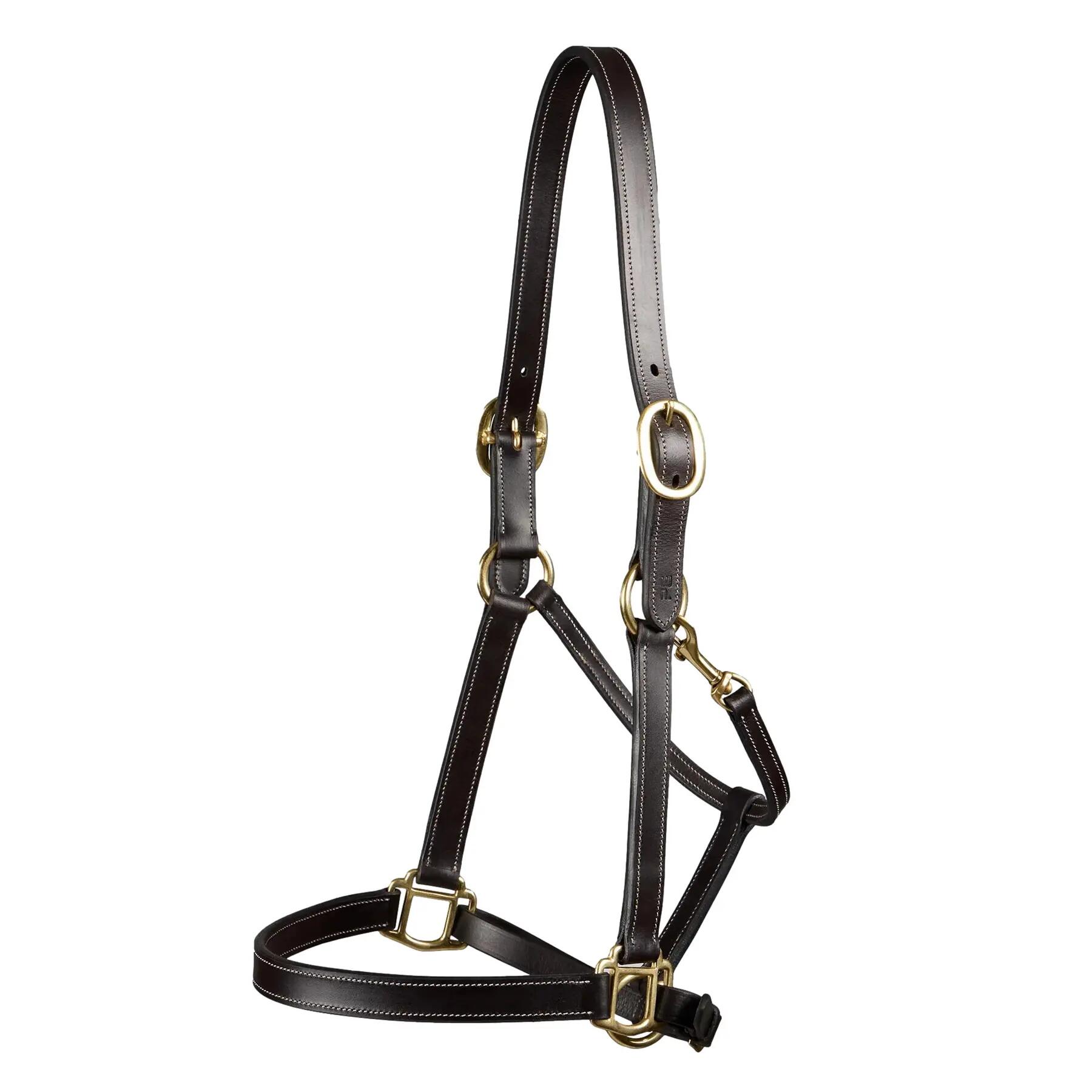 PREMIER EQUINE picture