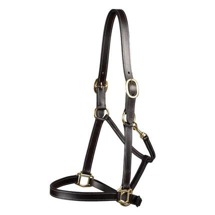 Licol pour cheval Premier Equine