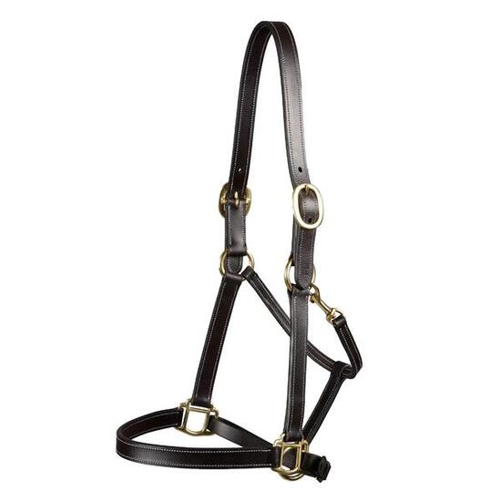 Licol pour cheval Premier Equine
