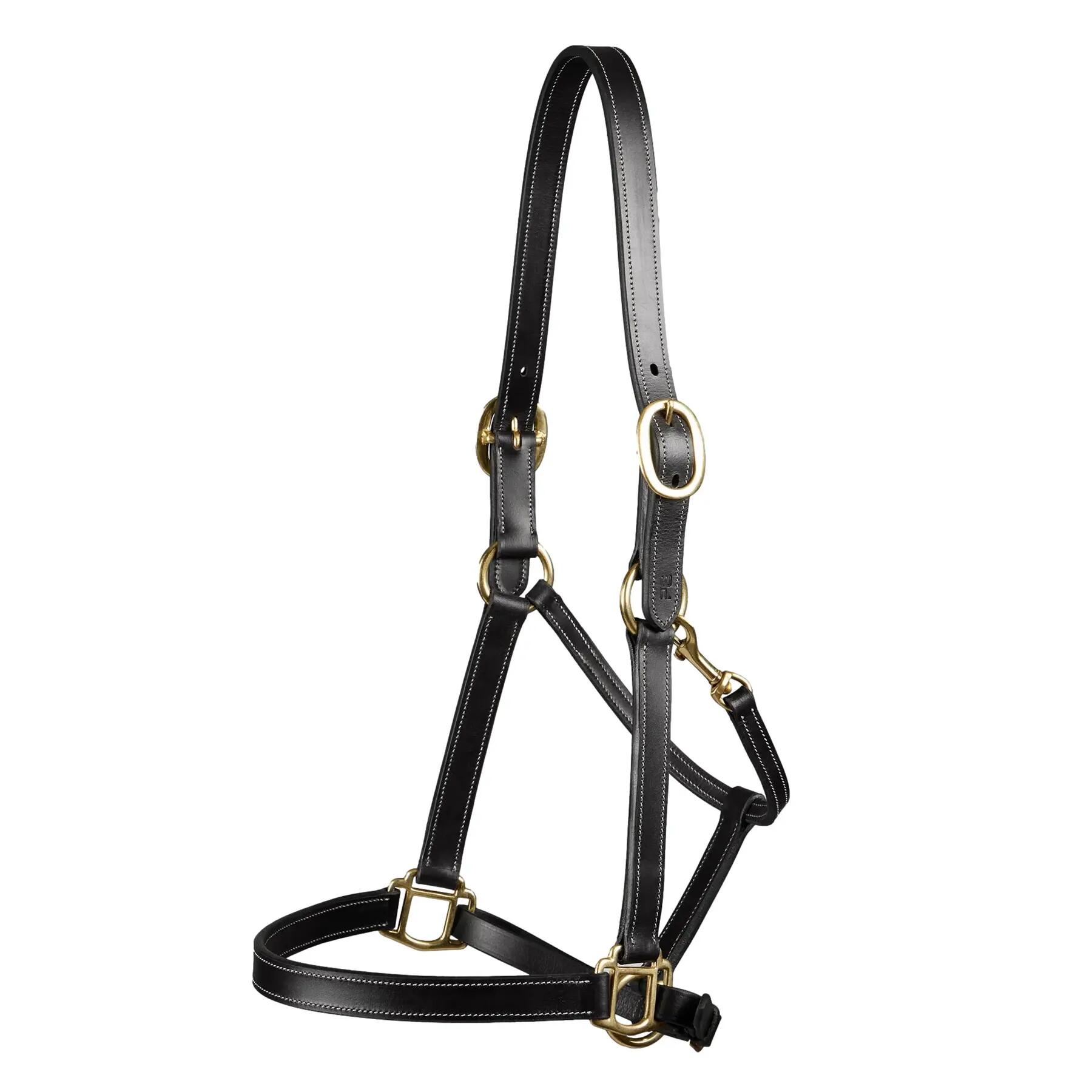 PREMIER EQUINE picture