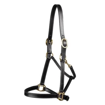 Licol pour cheval Premier Equine