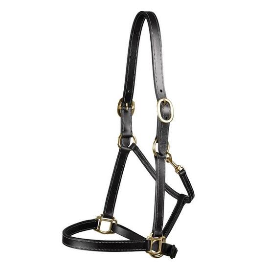 Licol pour cheval Premier Equine