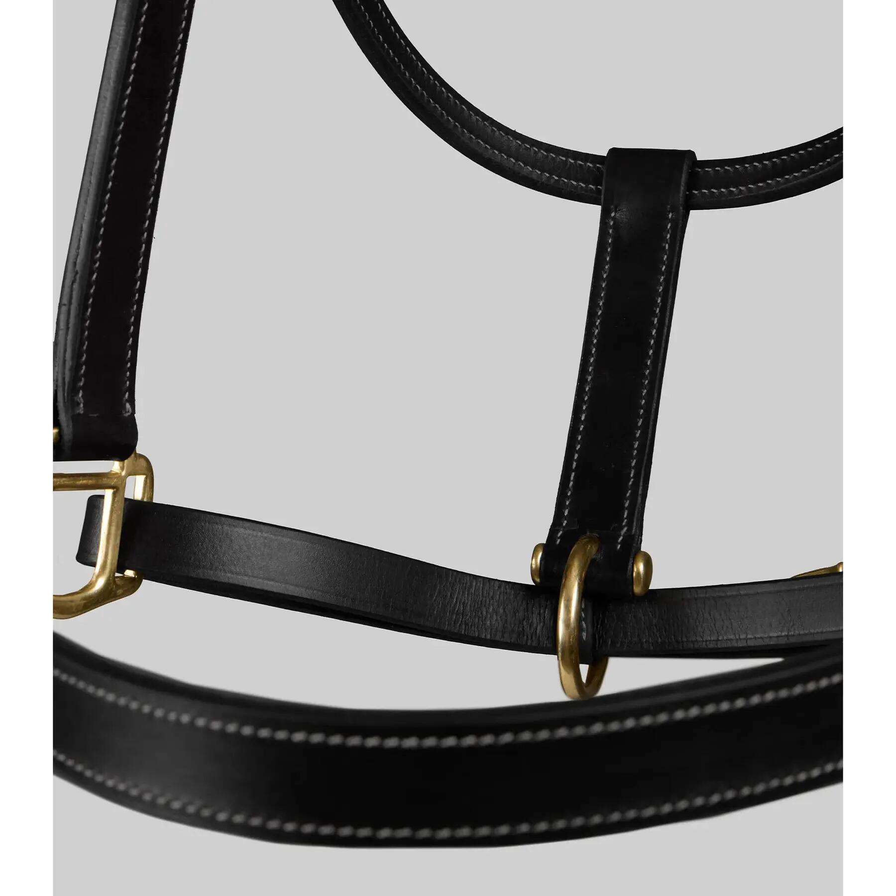 Licol pour cheval Premier Equine 4/5