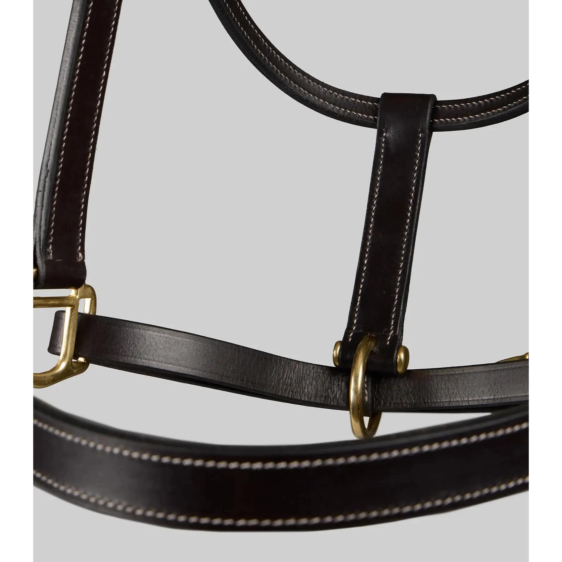 Licol pour cheval Premier Equine 4/5