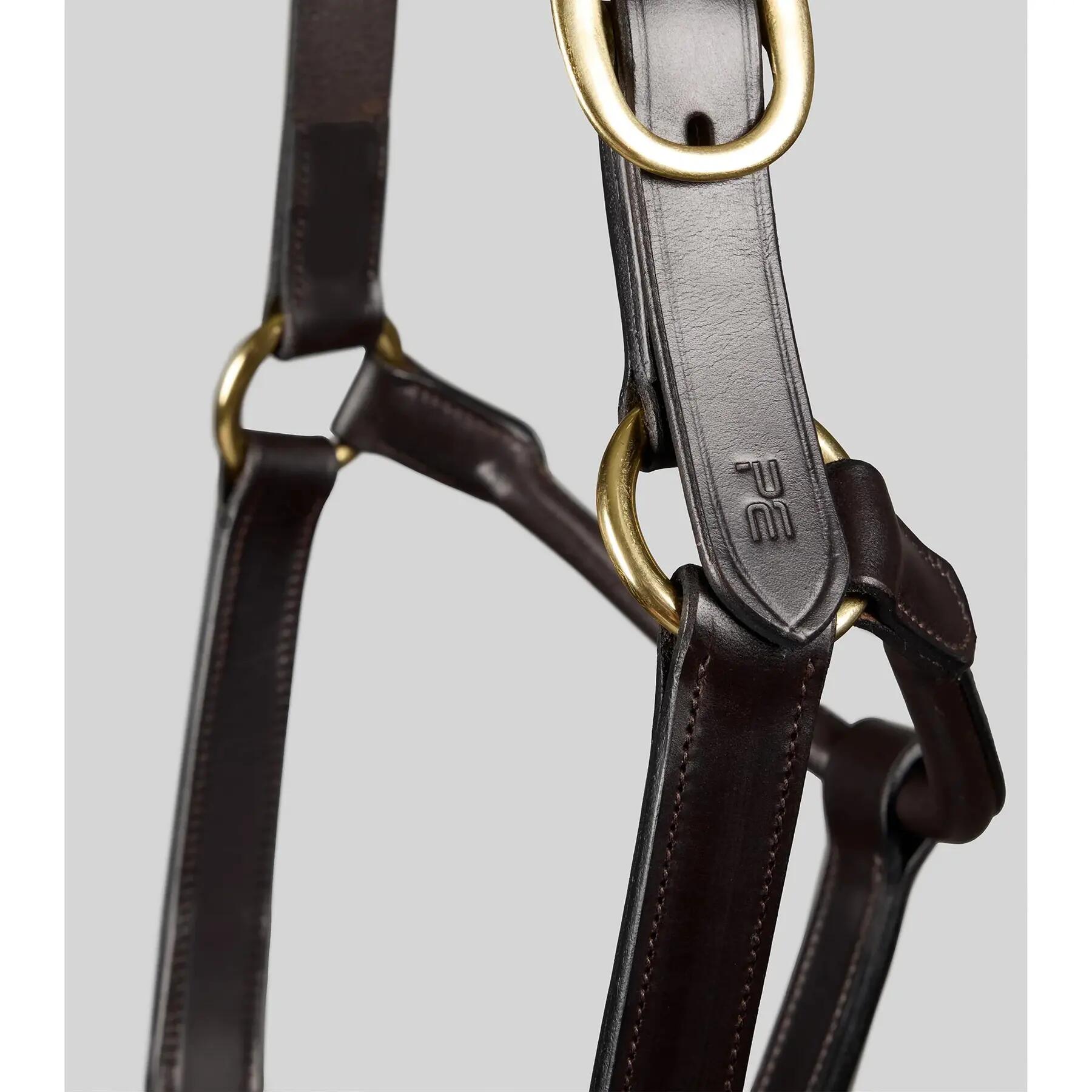 Licol pour cheval Premier Equine Yearling 3/6