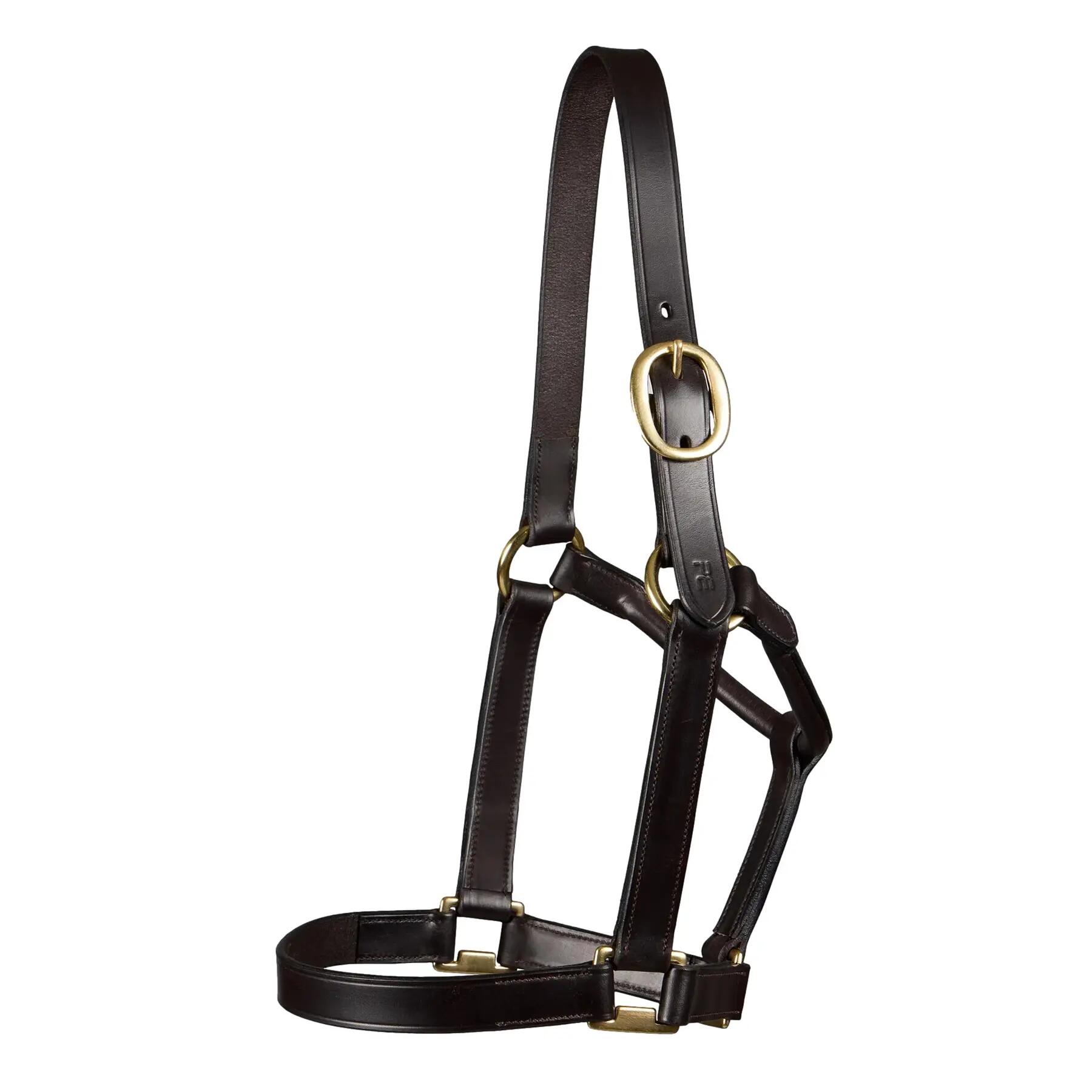 PREMIER EQUINE picture
