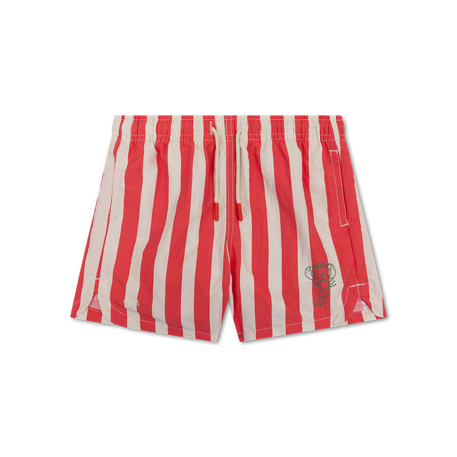 SWIM ESSENTIALS picture