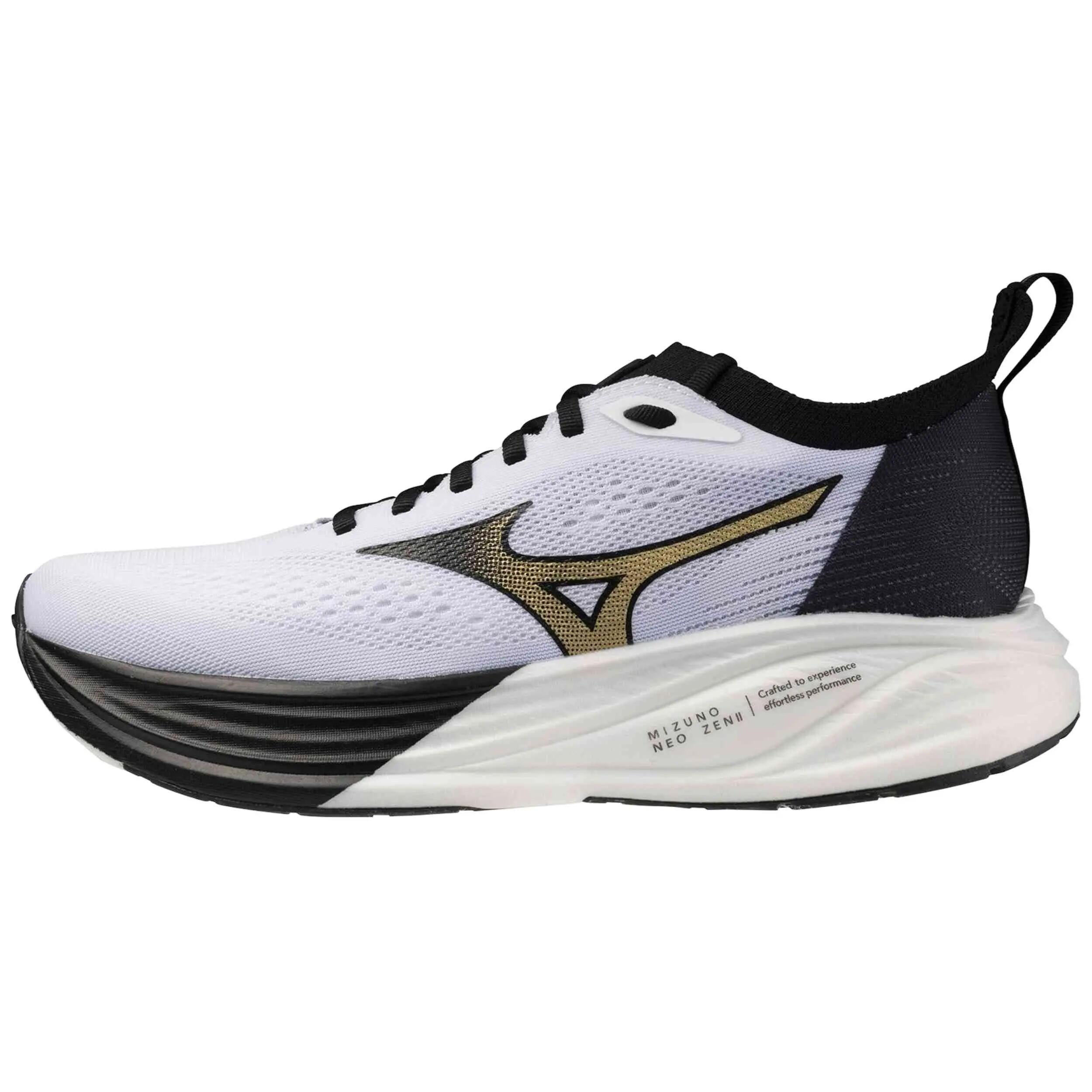 MIZUNO picture