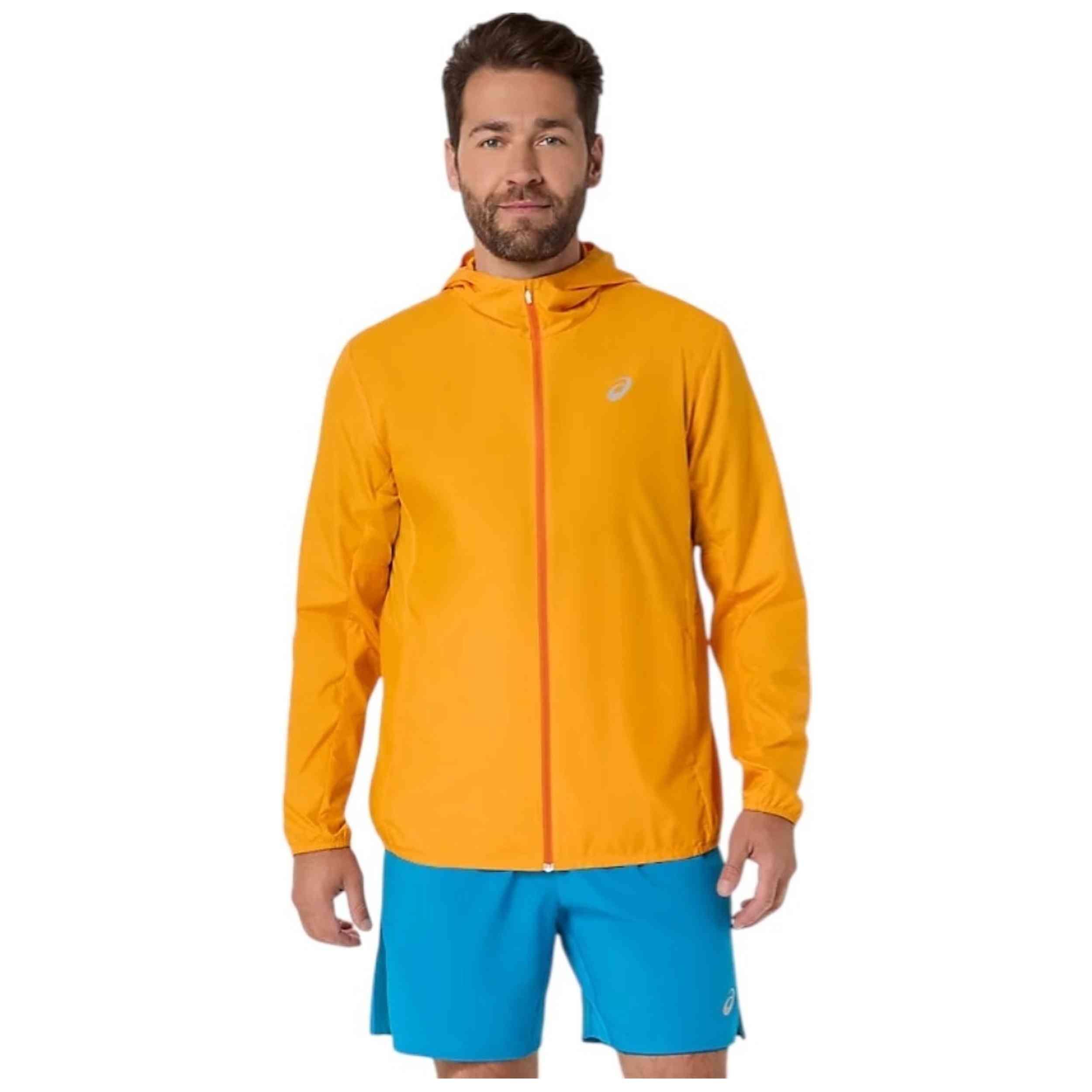 ASICS picture