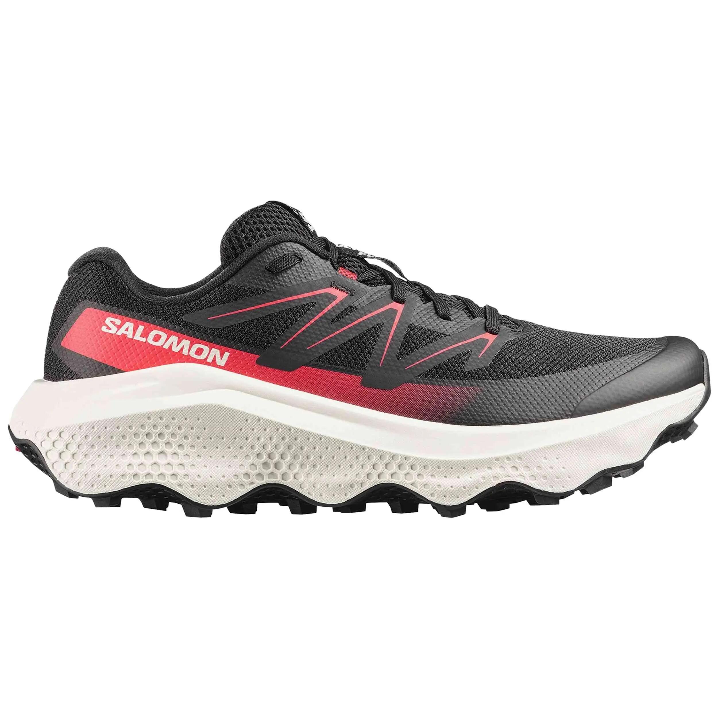SALOMON picture