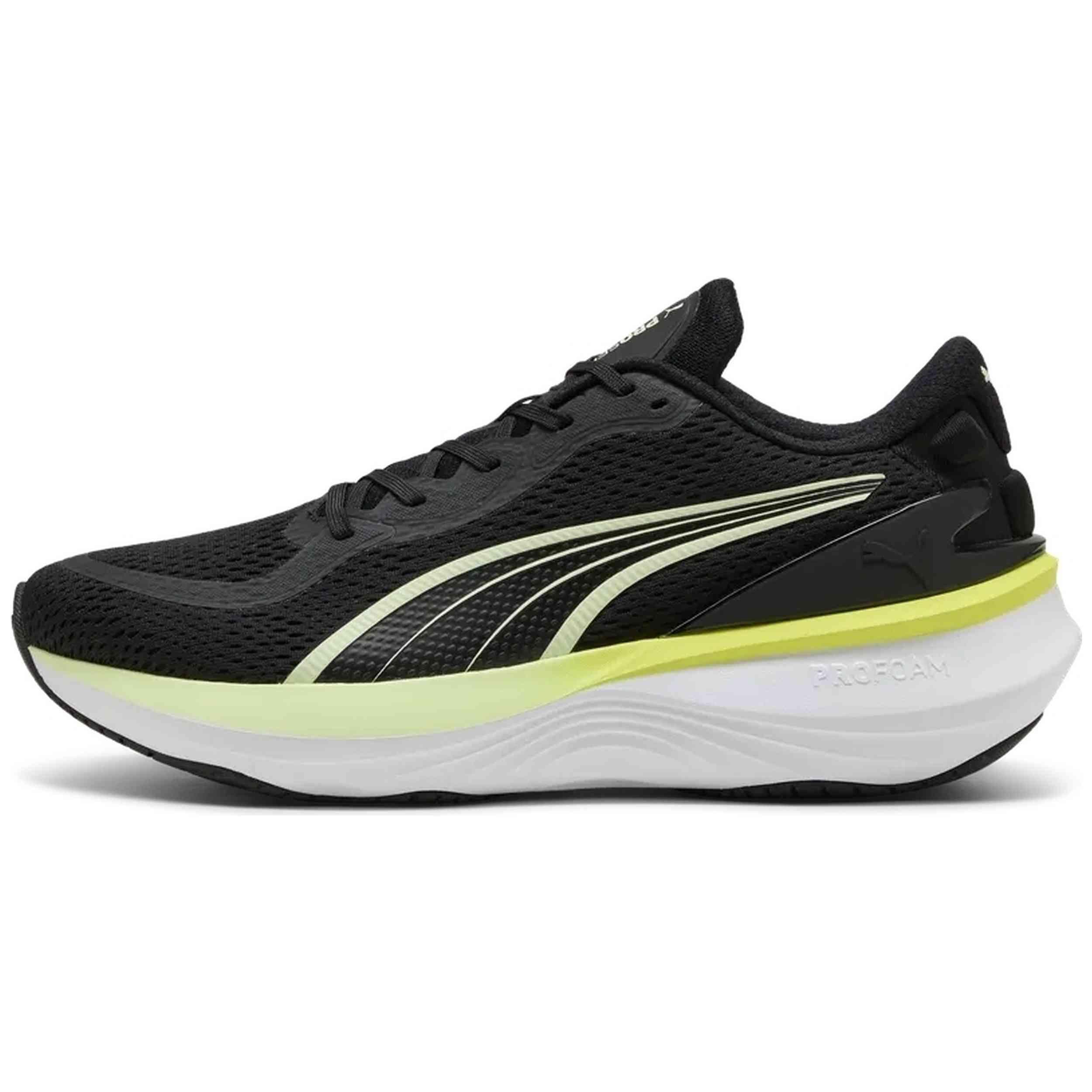 PUMA picture