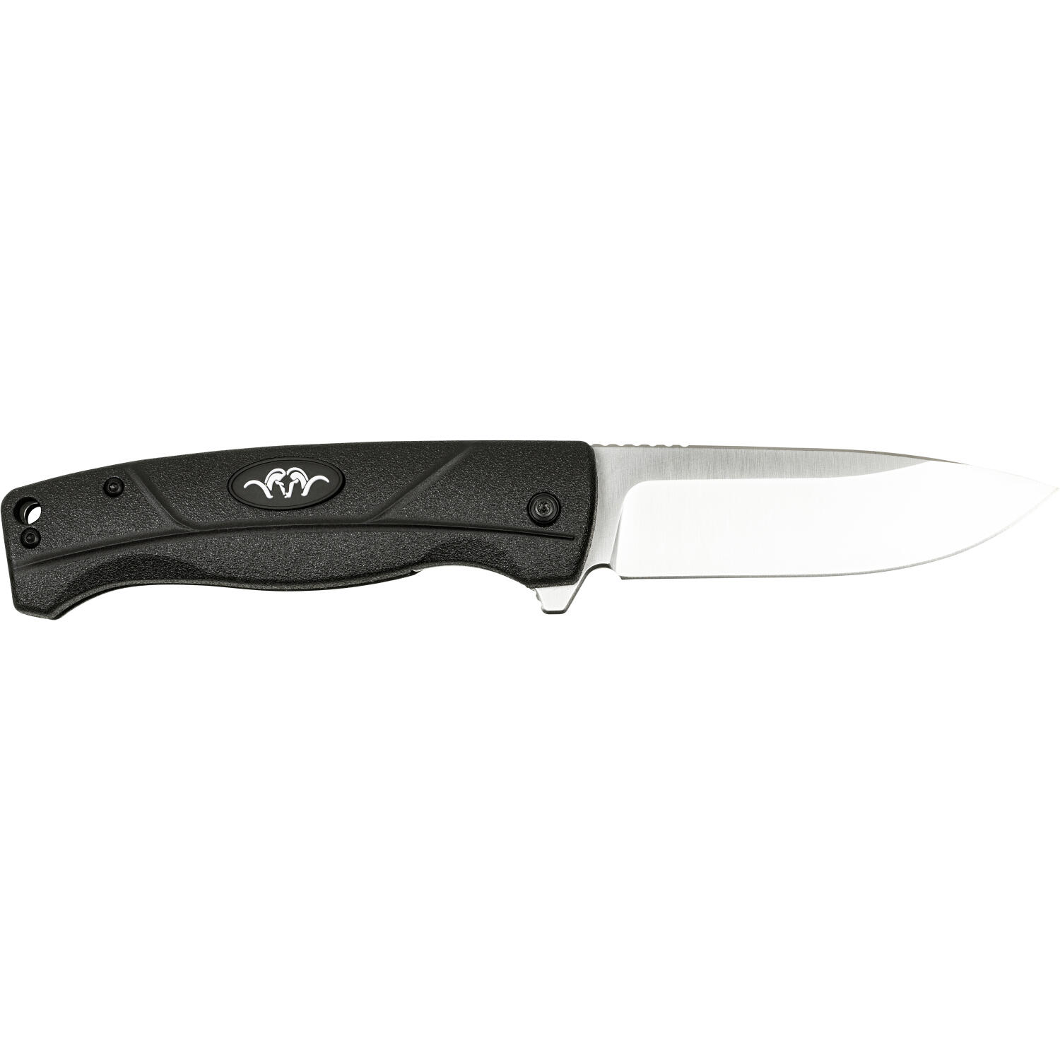 BLASER picture