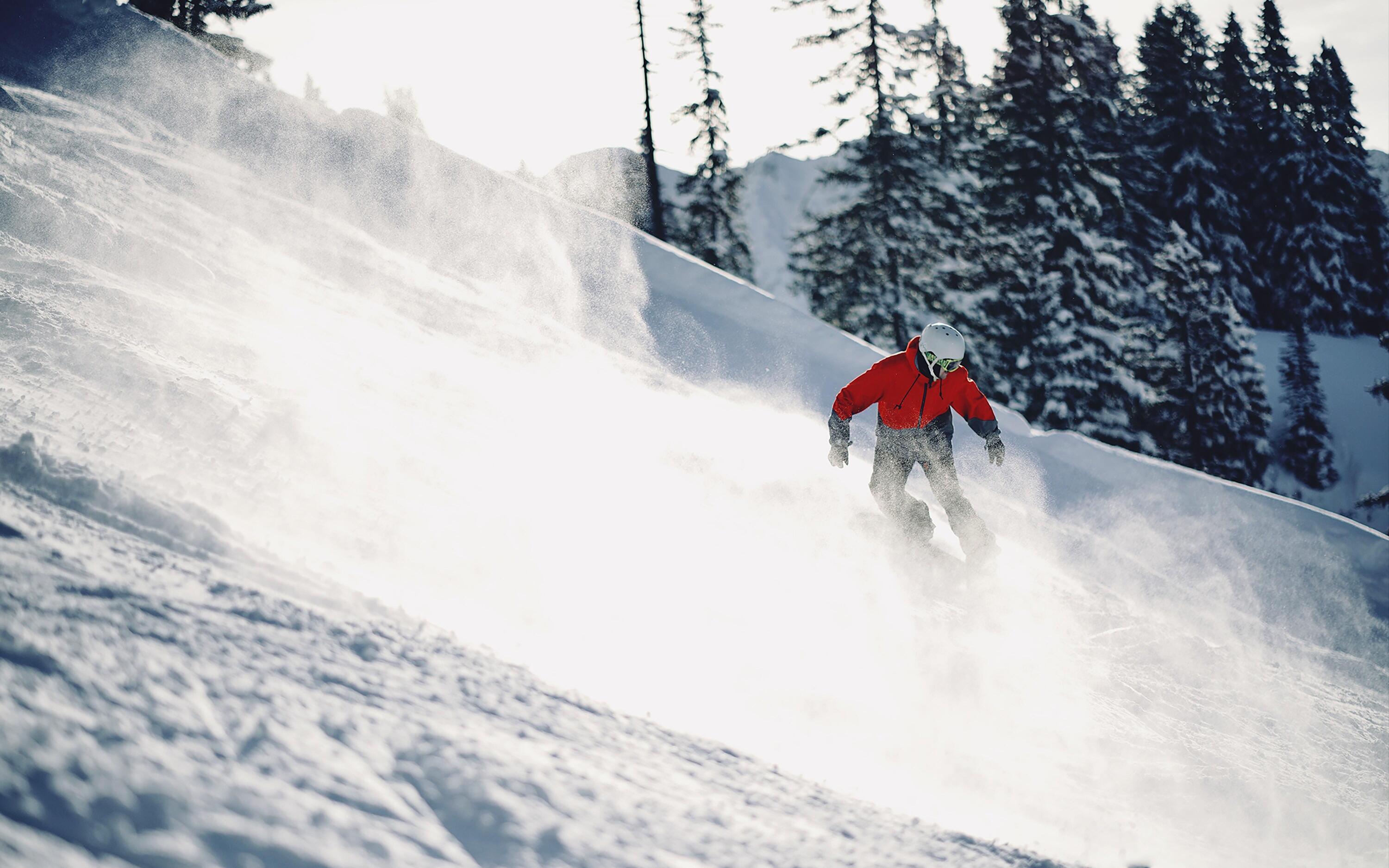 DECATHLON TRAVEL picture