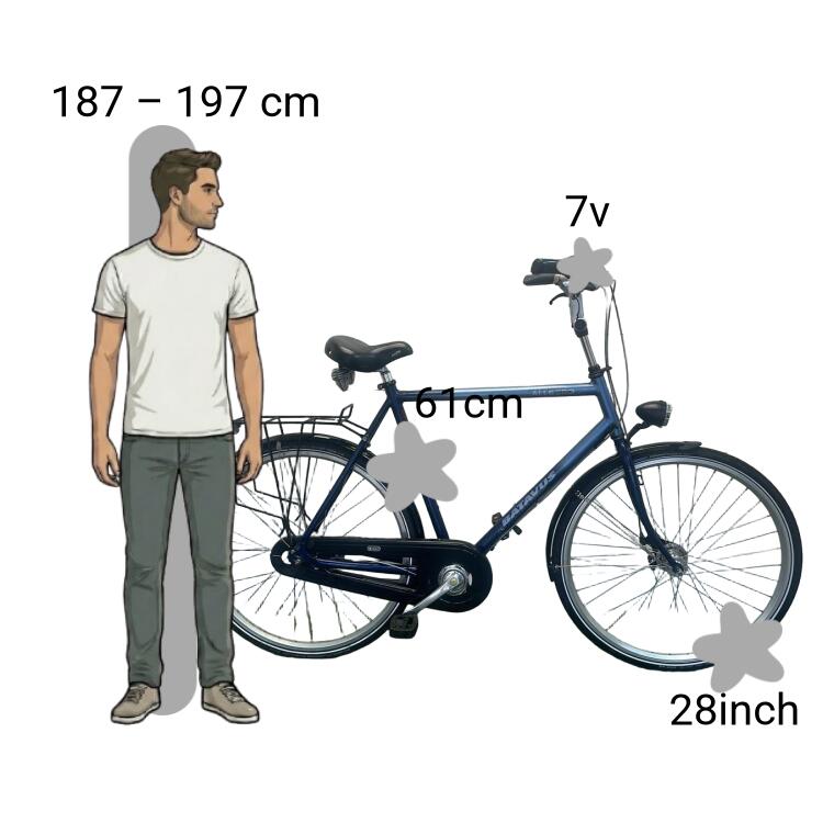 Bicicletta usata Batavus Allegro 2/4