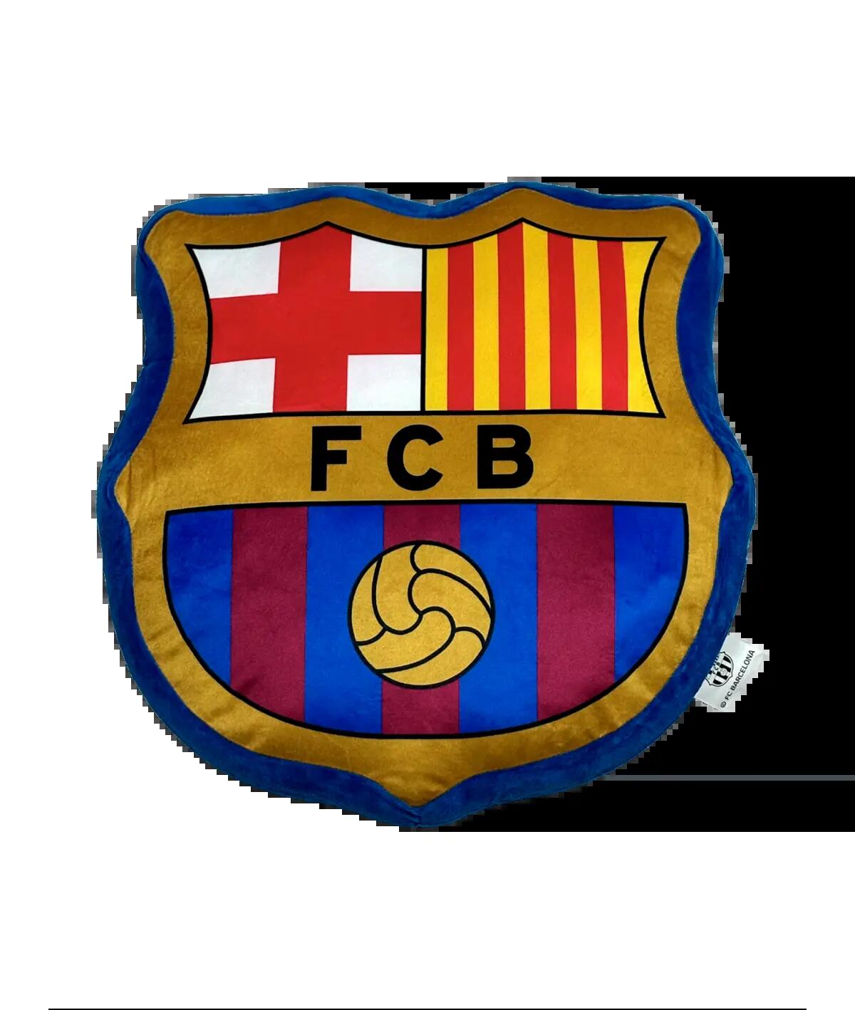 FC BARCELONA picture