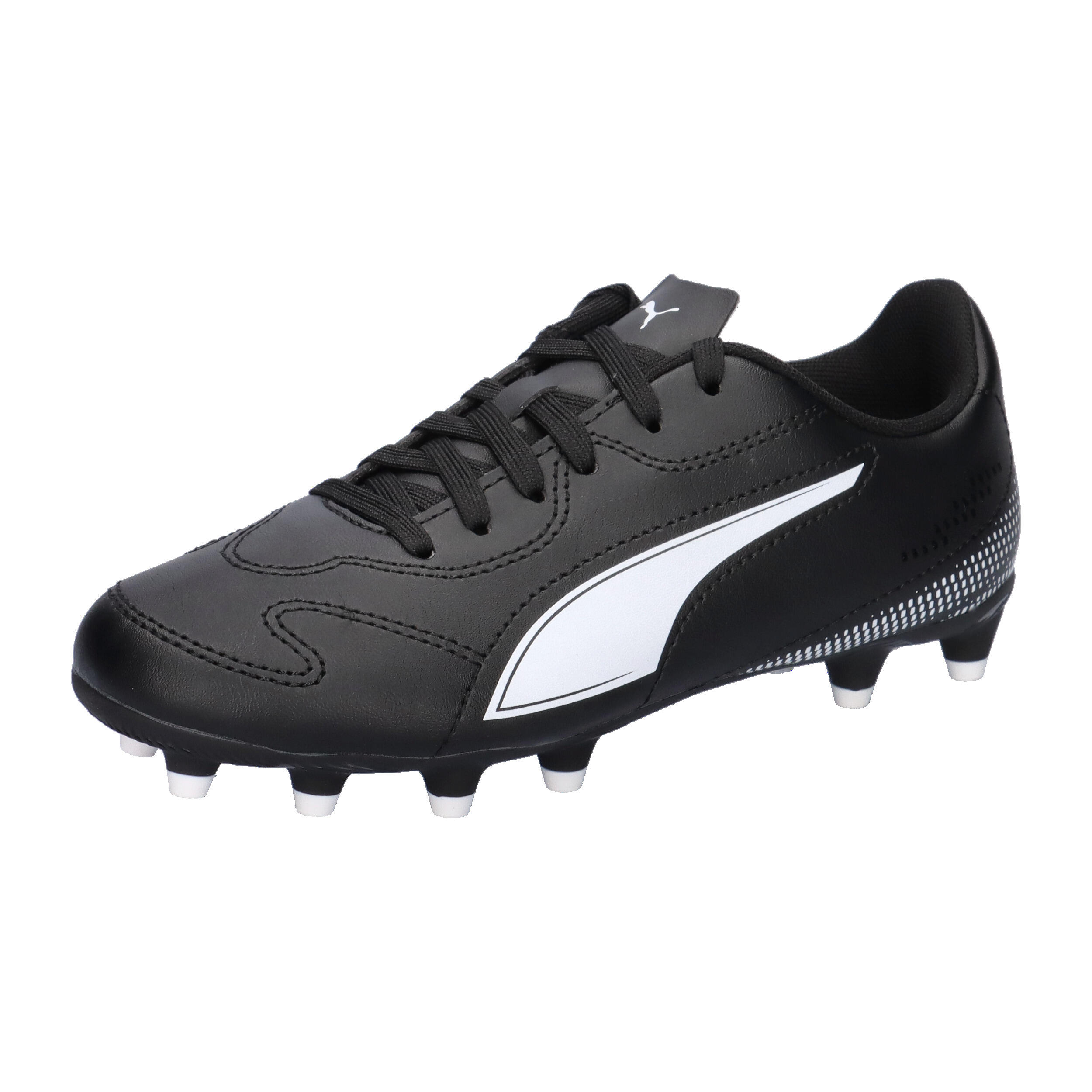 PUMA picture