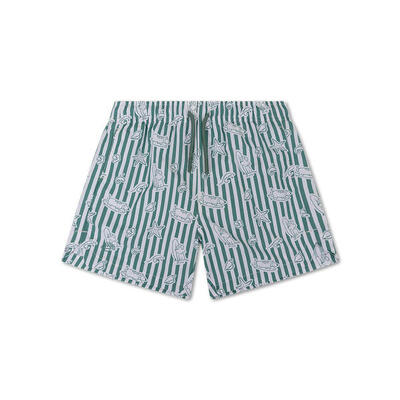 Swim essentials swim shorts - green - surf dogs
