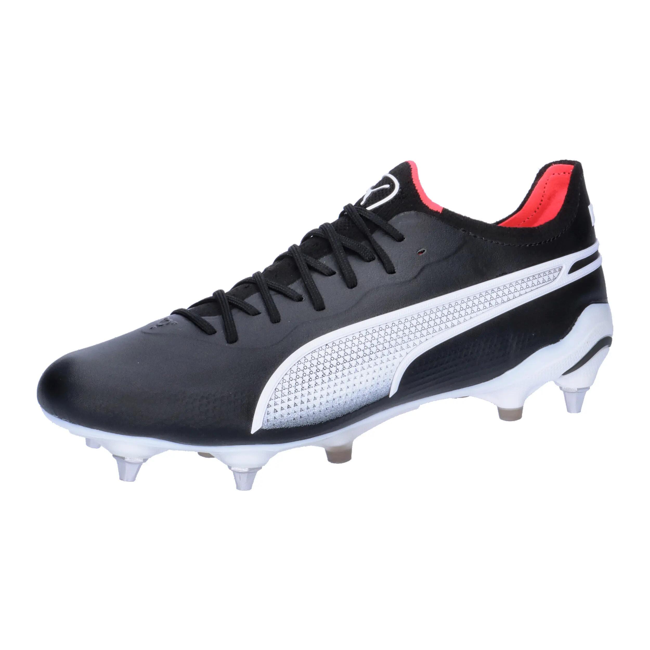 PUMA picture