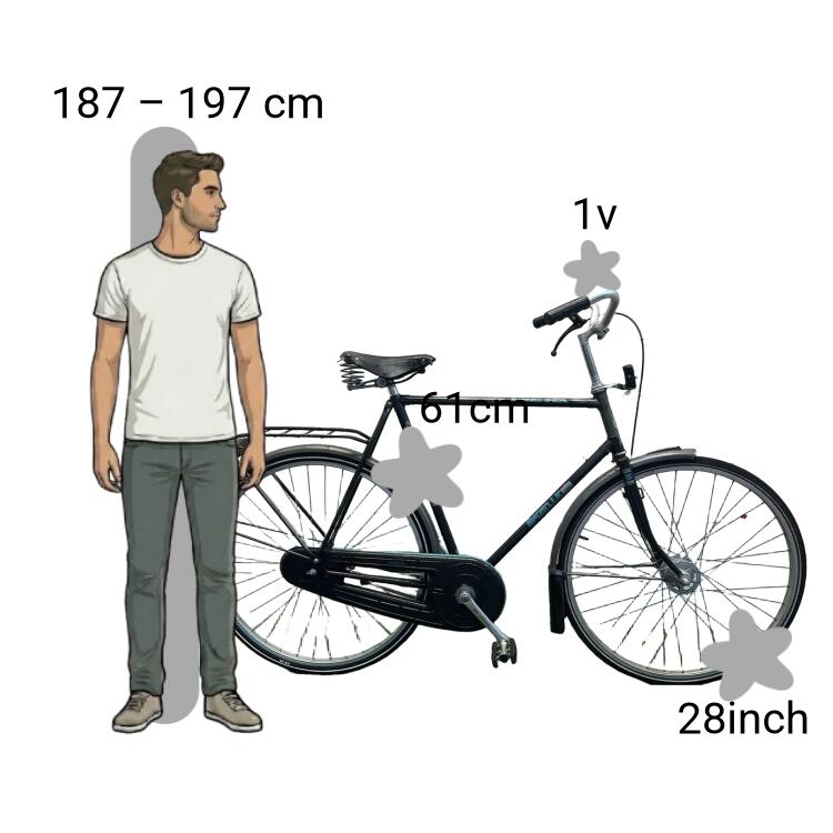 De segunda mano Gazelle Superieur 2/4