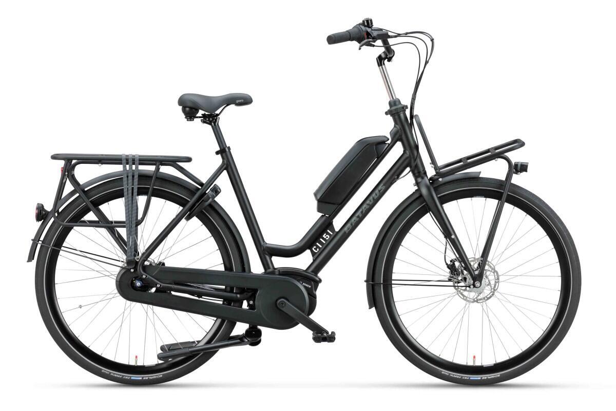 BATAVUS picture