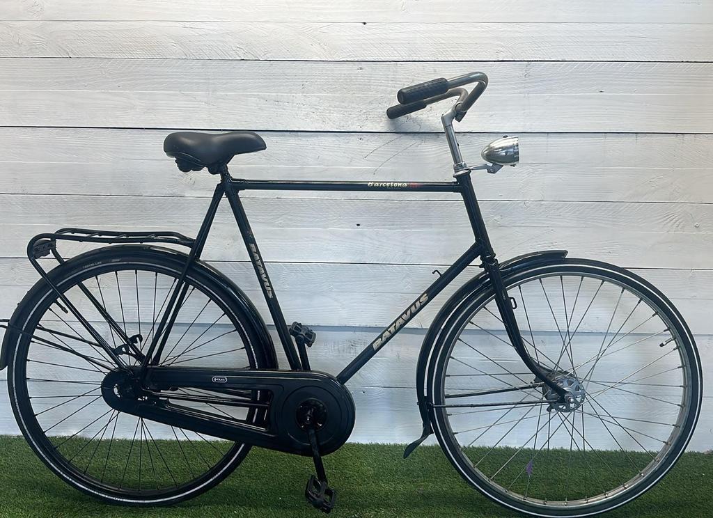 BATAVUS picture