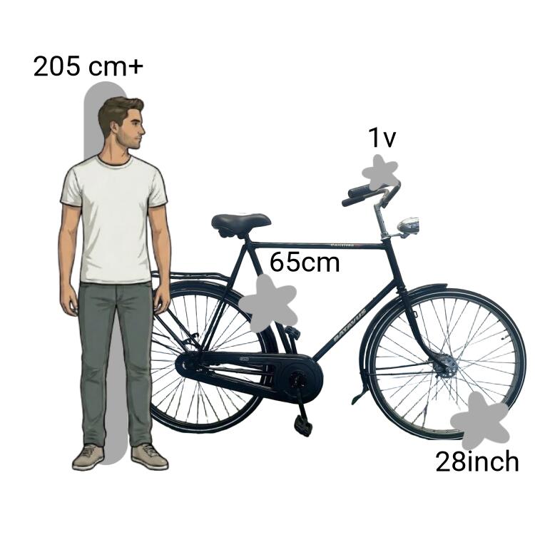 Bicicletta usata Batavus Barcelona 2/4
