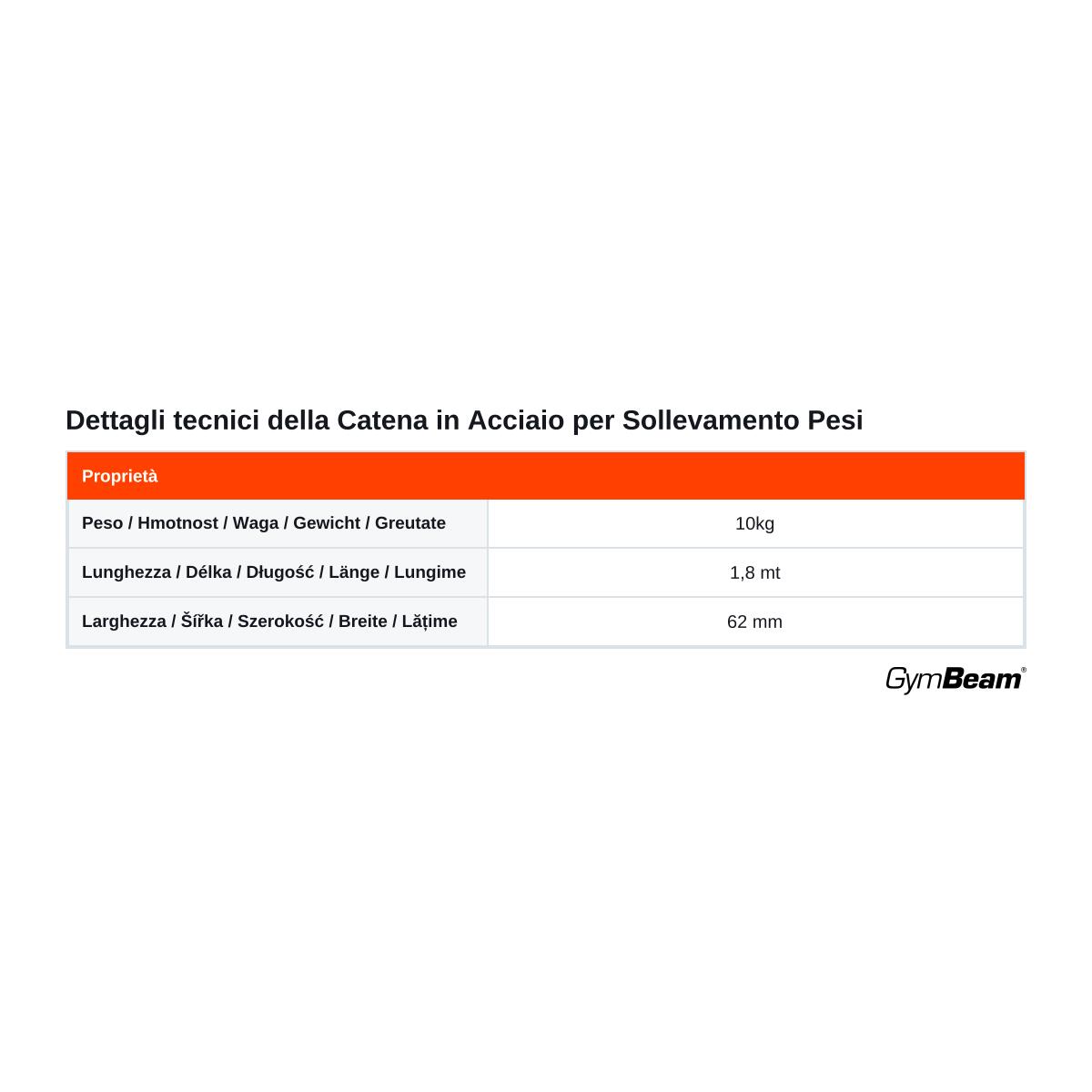 Catena pesi in acciaio 10 kg 5/5
