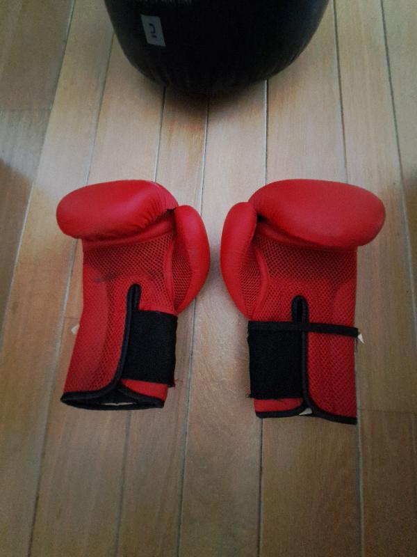 Entre Particuliers - Sac de frappe avec gants 4/4
