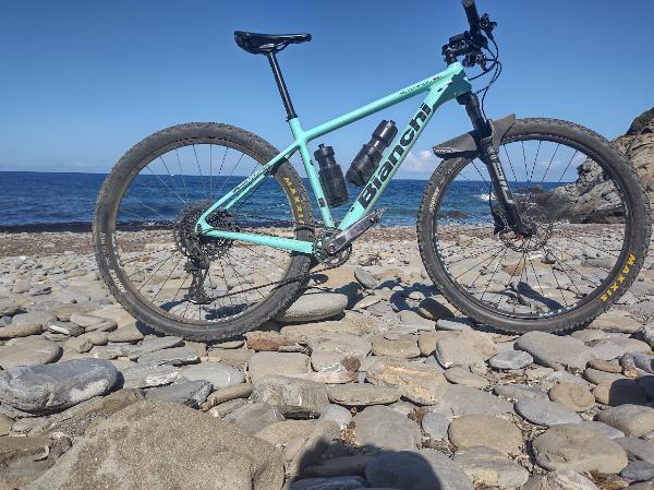 BIANCHI picture