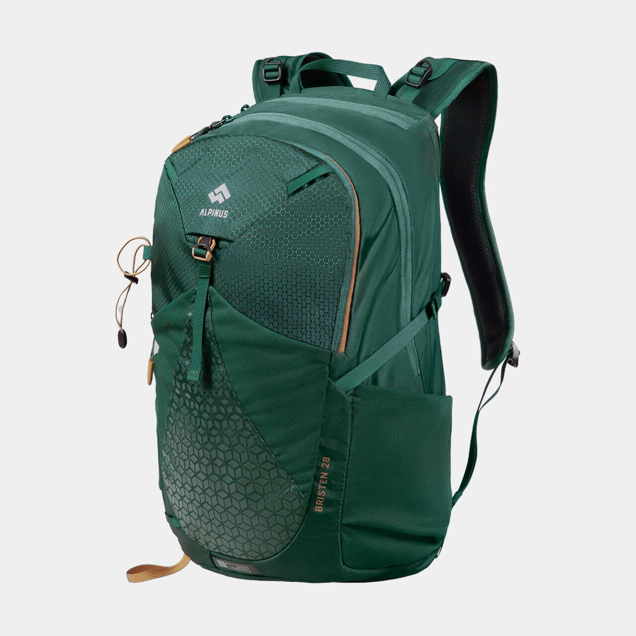 ALPINUS picture
