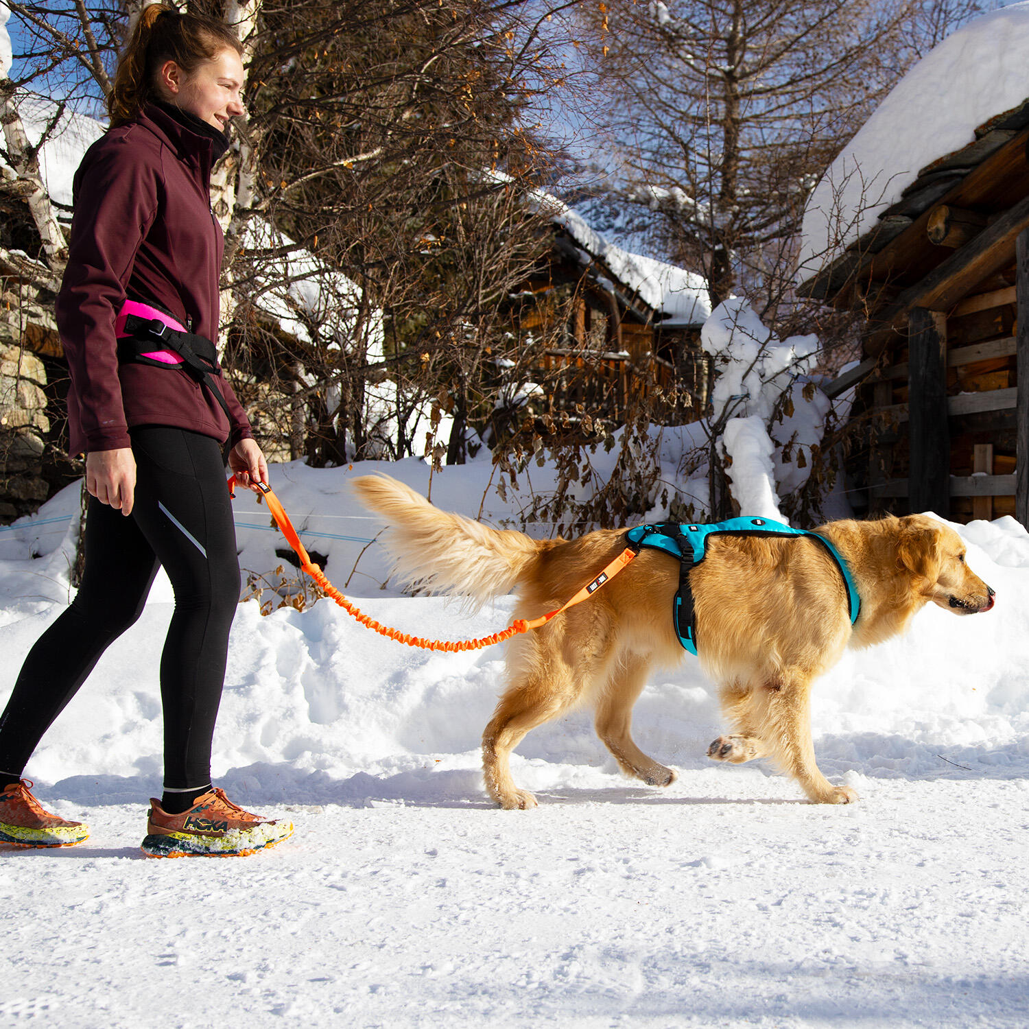 EASY-trekriem voor honden, geschikt voor, sport en vrije tijd 3/6