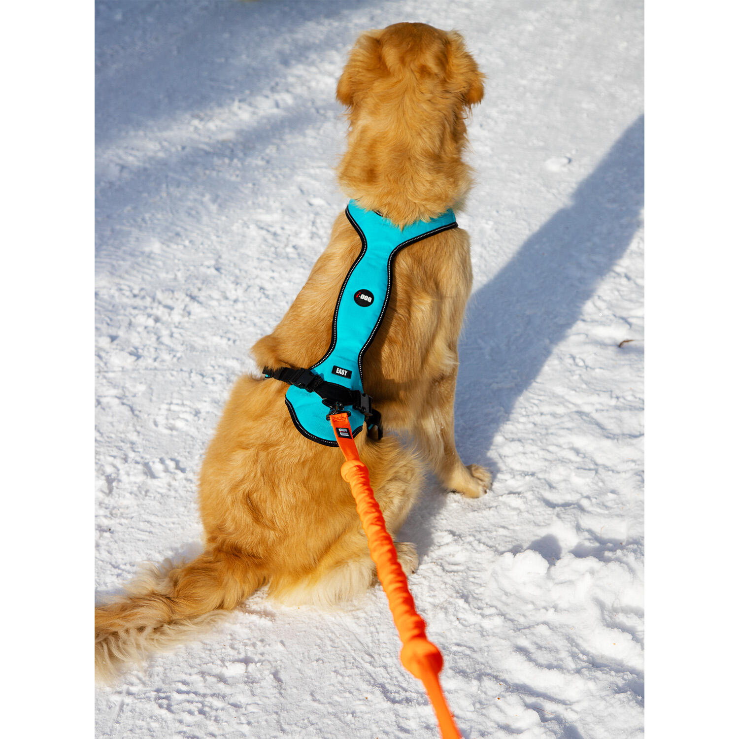 EASY-trekriem voor honden, geschikt voor, sport en vrije tijd 5/6
