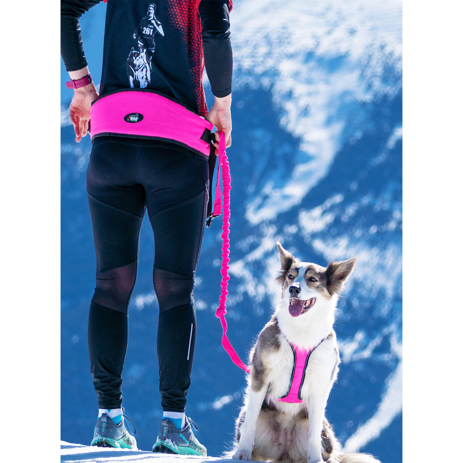 EASY-trekriem voor honden, geschikt voor, sport en vrije tijd 6/6